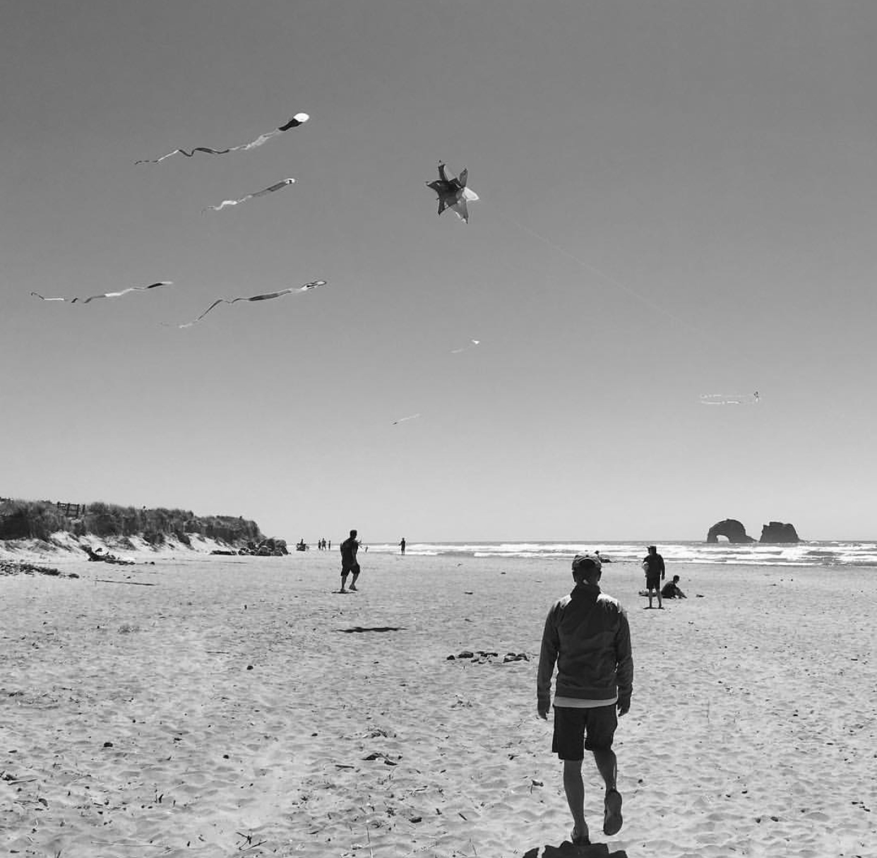 Kites Flying on the Beach